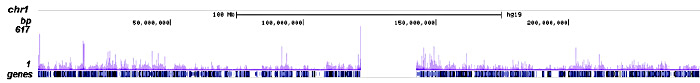 JARID1C Antibody ChIP-seq Grade