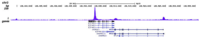 JARID1C Antibody validated in ChIP-seq