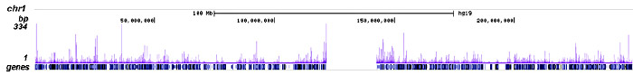 CBX2 Antibody ChIP-seq Grade