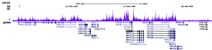 CBX2 Antibody for ChIP-seq assay 