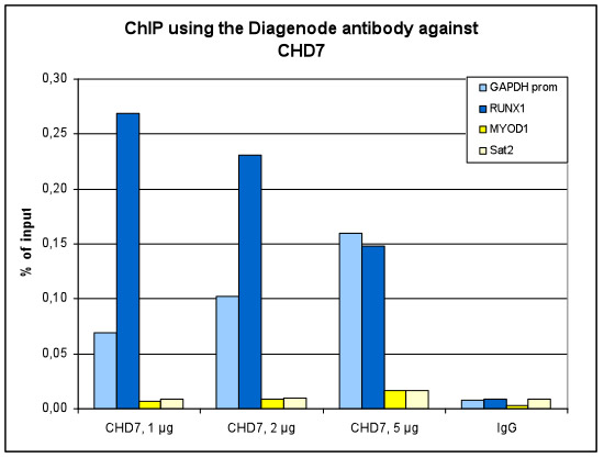 CHD7 Antibody ChIP Grade