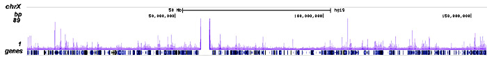 CHD7 Antibody ChIP-seq Grade