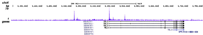 CHD7 Antibody for ChIP-seq 