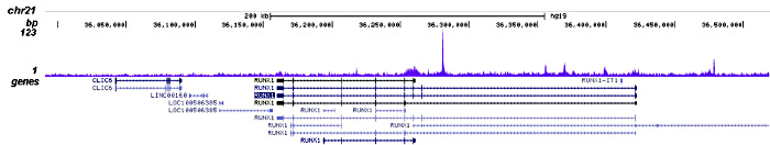 CHD7 Antibody for ChIP-seq assay