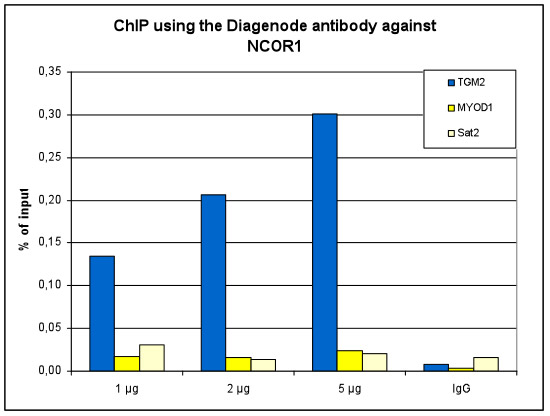 NCOR1 Antibody ChIP Grade