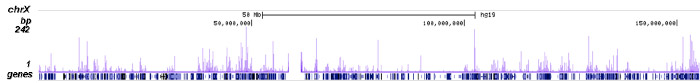 NCOR1 Antibody ChIP-seq Grade