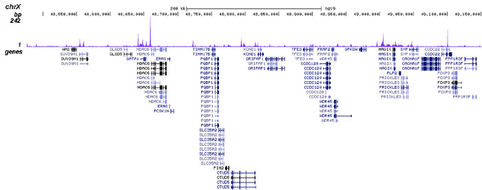 NCOR1 Antibody for ChIP-seq 