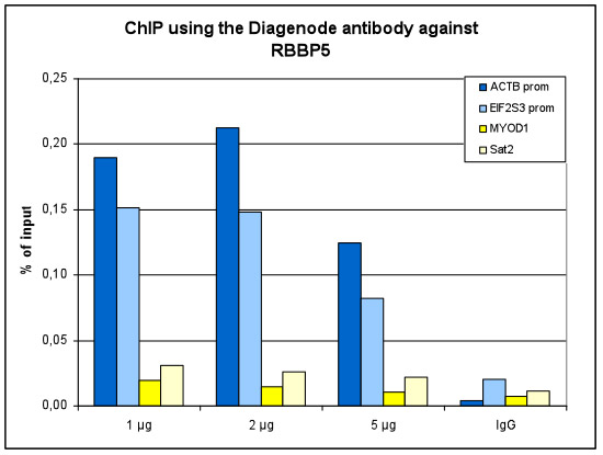 RBBP5 Antibody ChIP Grade