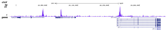 RBBP5 Antibody for ChIP-seq assay