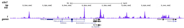 RBBP5 Antibody validated in ChIP-seq