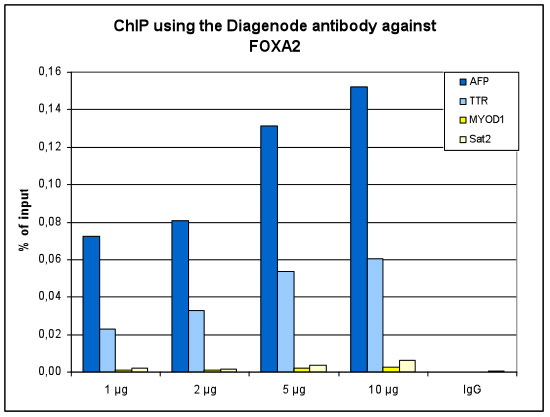 FOXA2 Antibody ChIP Grade