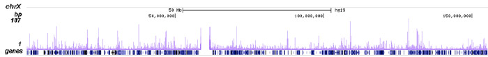 FOXA2 Antibody ChIP-seq Grade