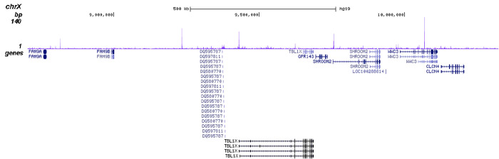 FOXA2 Antibody for ChIP-seq 