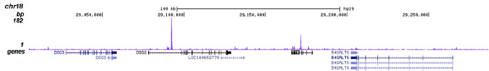 FOXA2 Antibody validated in ChIP-seq