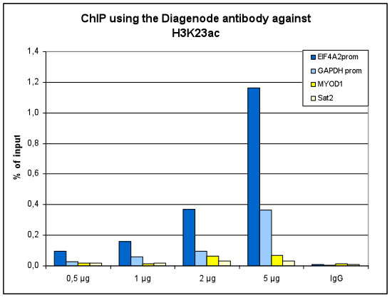 H3K23ac Antibody ChIP Grade