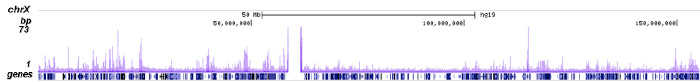 H3K23ac Antibody ChIP-seq Grade