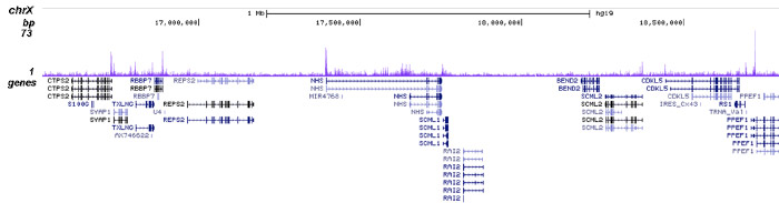 H3K23ac Antibody for ChIP-seq