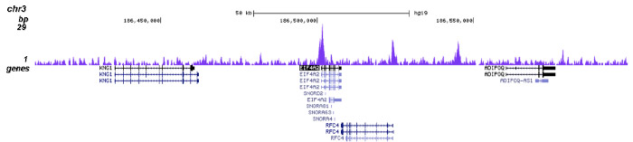 H3K23ac Antibody for ChIP-seq assay