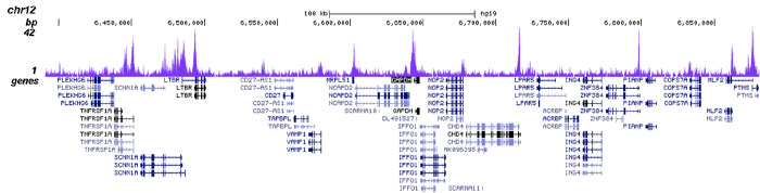 H3K23ac Antibody validated in ChIP-seq