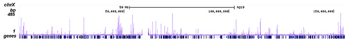 YY1 Antibody ChIP-seq Grade