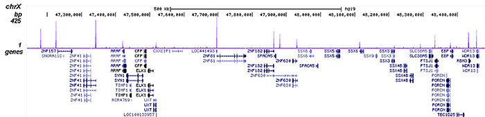 YY1 Antibody for ChIP-seq