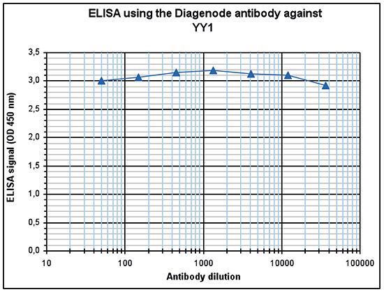 YY1 Antibody ELISA validation