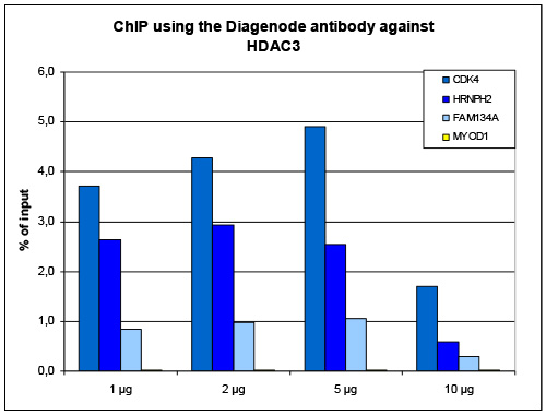 HDAC3 Antibody ChIP Grade
