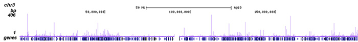 HDAC3 Antibody ChIP-seq Grade