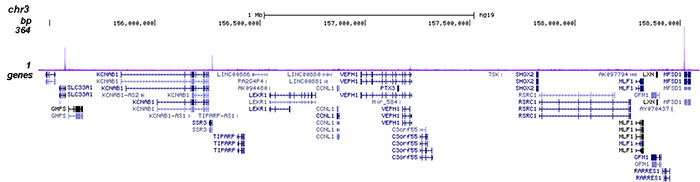 HDAC3 Antibody for ChIP-seq