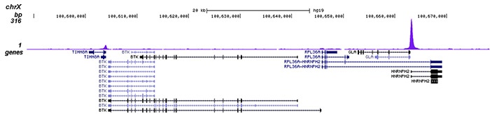 HDAC3 Antibody for ChIP-seq assay