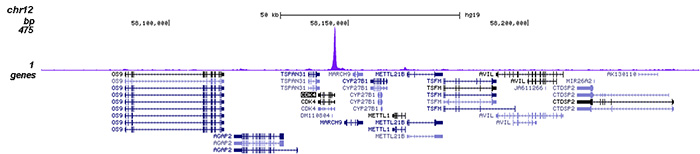 HDAC3 Antibody validated in ChIP-seq