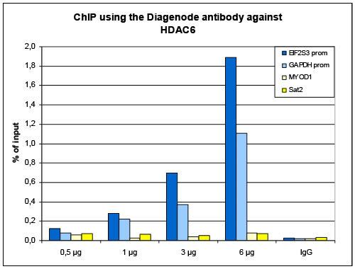 HDAC6 Antibody ChIP Grade