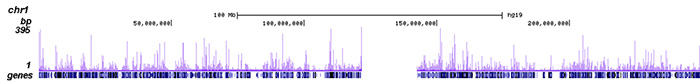 HDAC6 Antibody ChIP-seq Grade