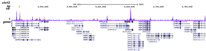 HDAC6 Antibody validated in ChIP-seq