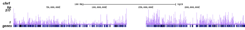 EHF Antibody ChIP-seq Grade