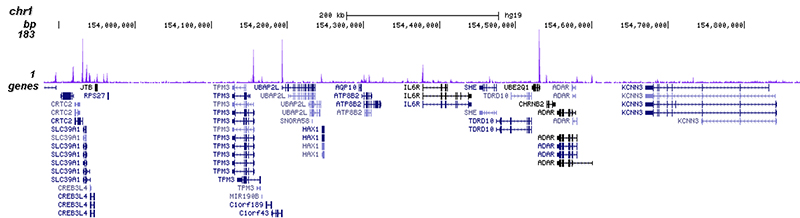 EHF Antibody for ChIP-seq