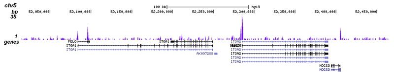 EHF Antibody for ChIP-seq assay