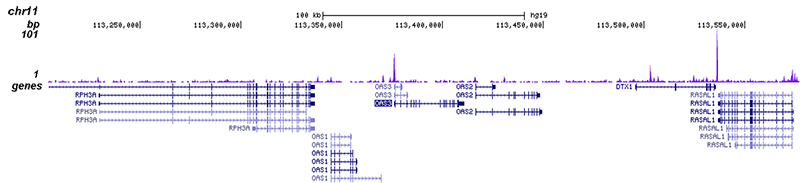 EHF Antibody validated in ChIP-seq