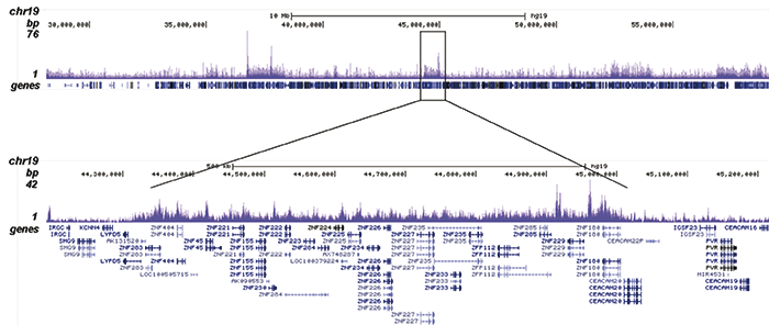 H3K9me3 Antibody ChIP-seq Grade