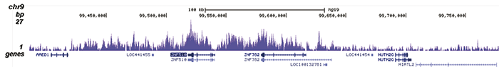 H3K9me3 Antibody for ChIP-seq