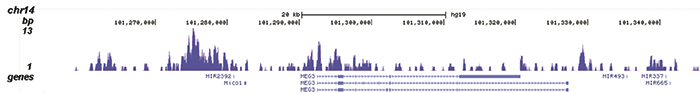 H3K9me3 Antibody for ChIP-seq assay