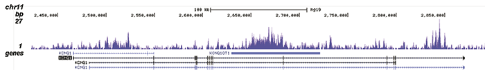 H3K9me3 Antibody validated in ChIP-seq