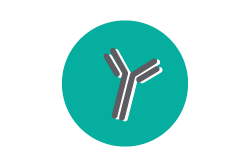 Antibody ChIP icon