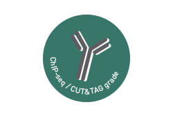 cut and tag antibody icon