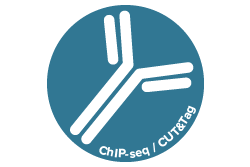 cut and tag antibody icon