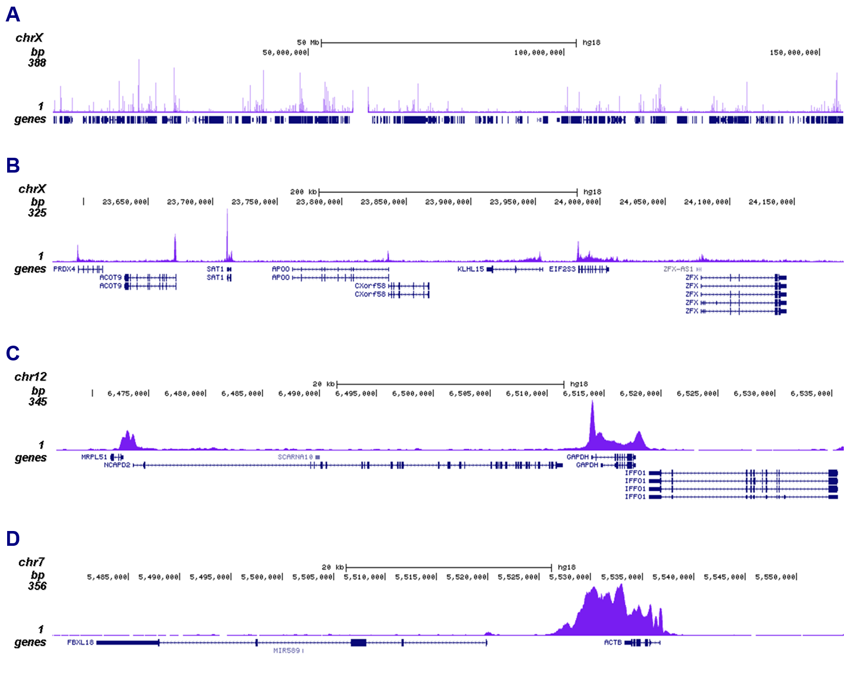 Pol II Antibody ChIP-seq Grade