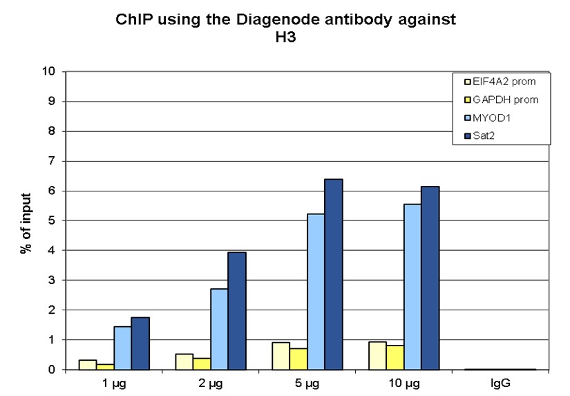 H3pan Antibody ChIP Grade