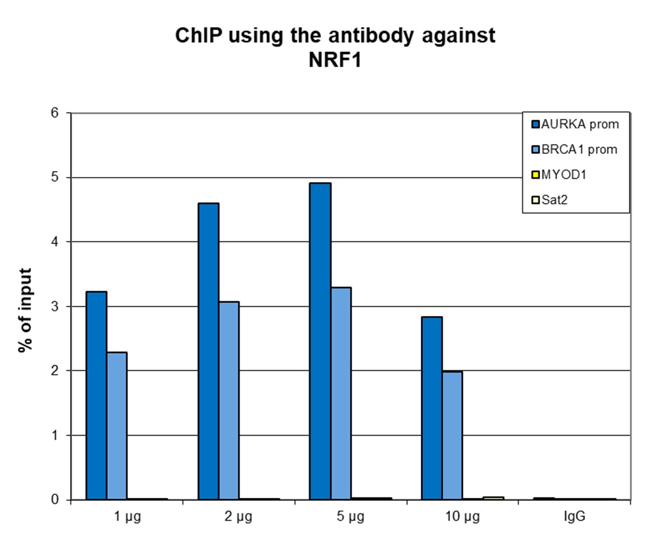 NRF1 Antibody ChIP Grade