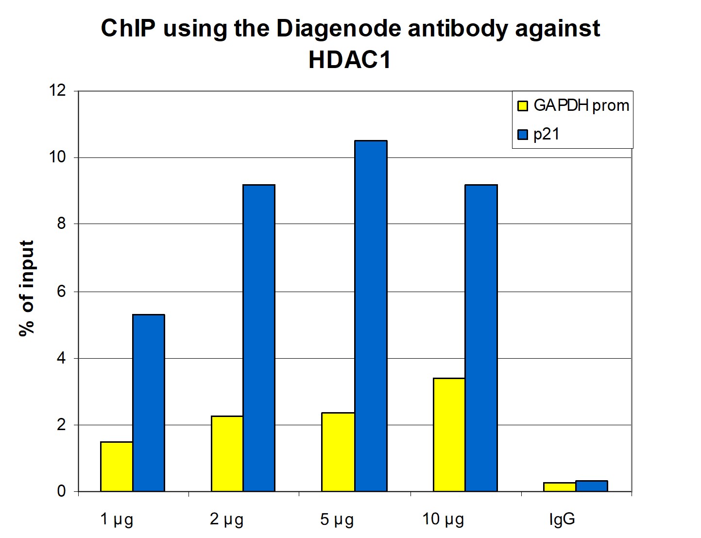 HDAC1 Antibody ChIP Grade
