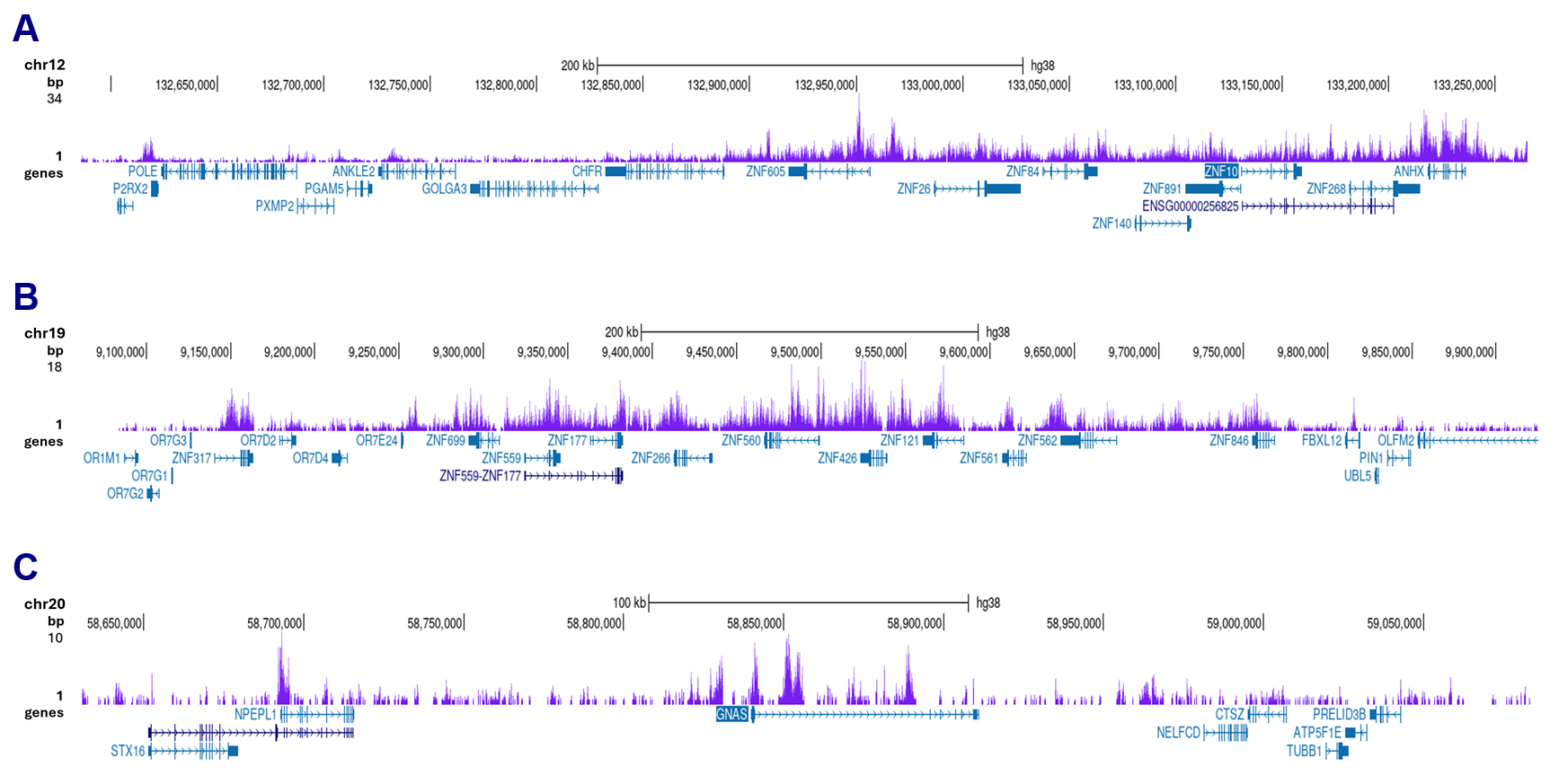 H3K9me3 Antibody CUT and Tag Grade 